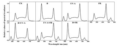 Growth of tomato and cucumber seedlings under different light environments and their development after transplanting